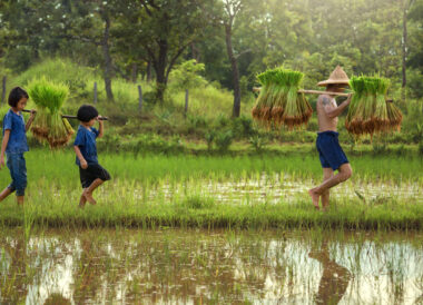 Les charmes de la Thaïlande jusqu’à Krabi