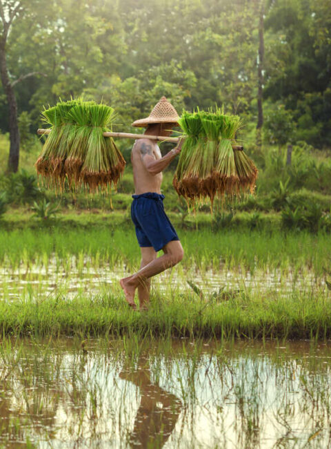 Les charmes de la Thaïlande jusqu'à Krabi