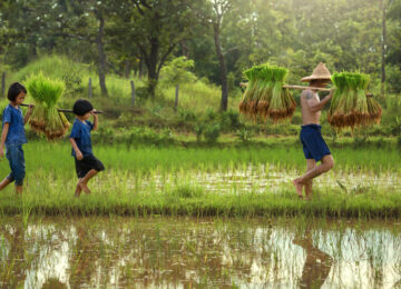 Le Vietnam en famille