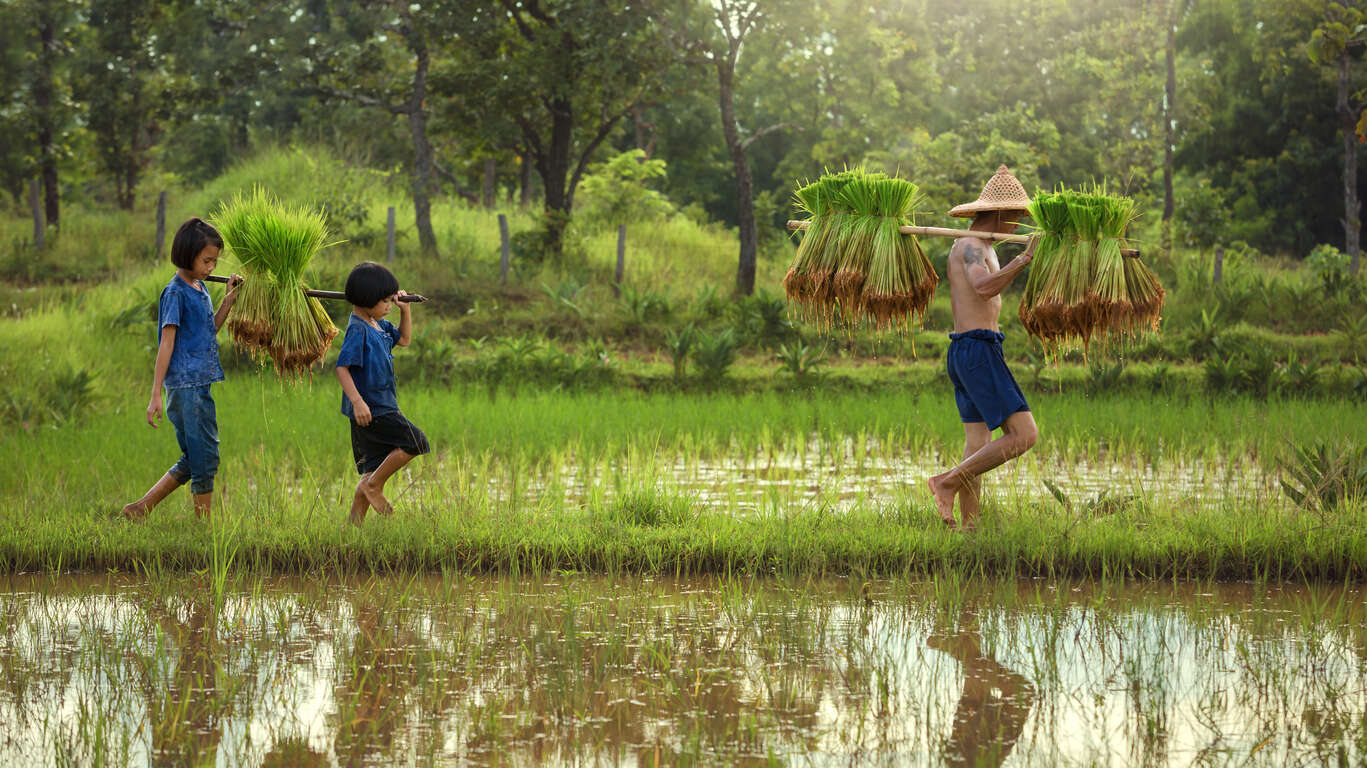 Le Vietnam en famille