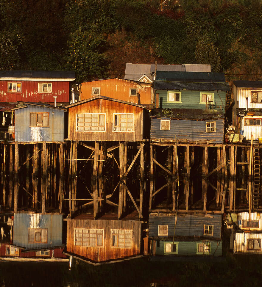 Observez la riche biodiversité de Chiloé