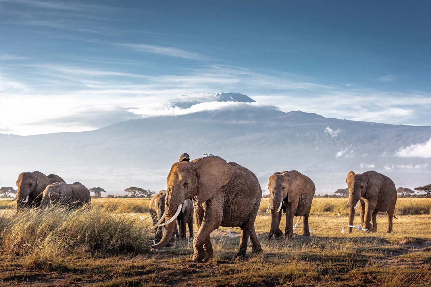 Voyage en Afrique hors des sentiers battus