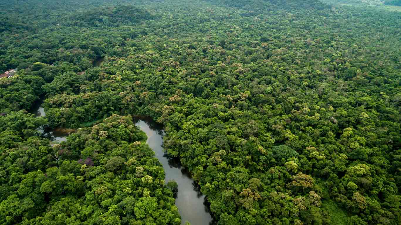 TNFD: vers un langage commun pour la biodiversité