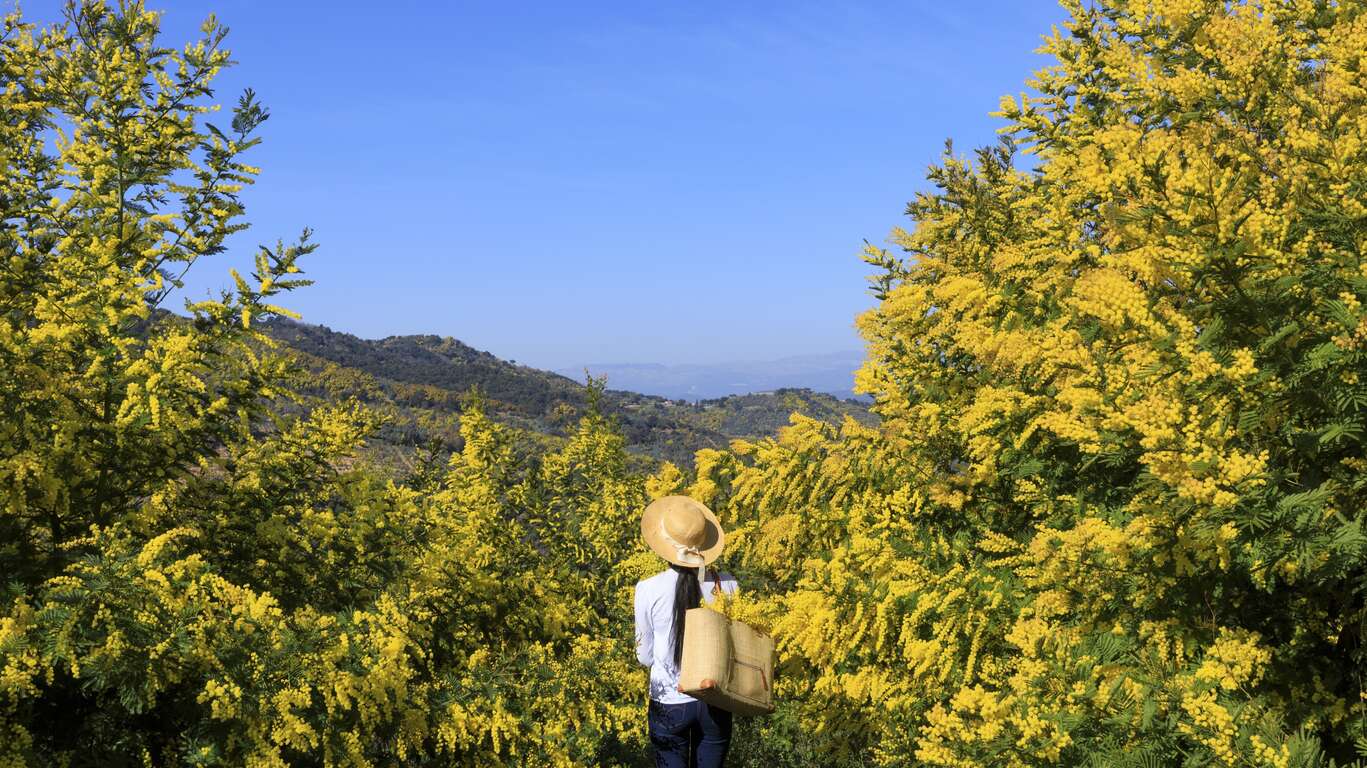 Terroir et patrimoine de la Côte d'Azur