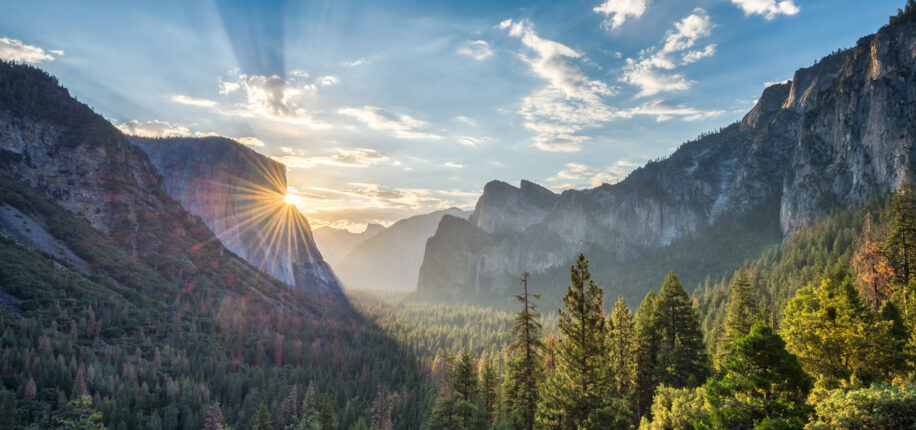 Parc de Yosemite