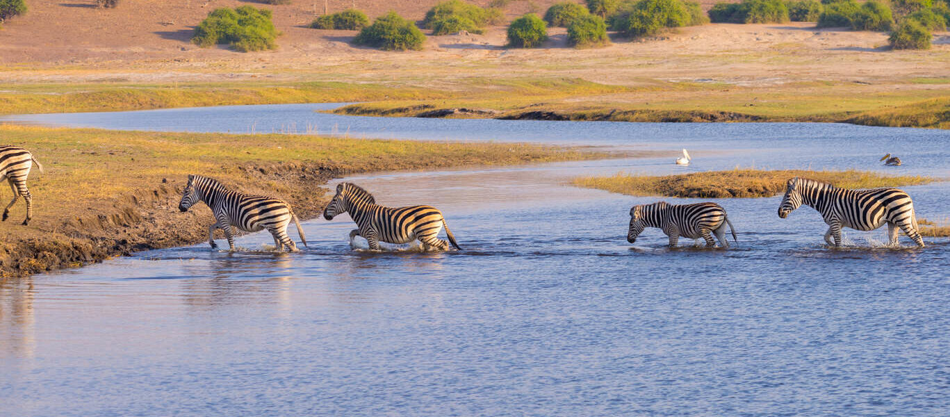 Safari privé au Botswana et Chutes Victoria