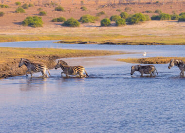 Safari privé au Botswana et Chutes Victoria