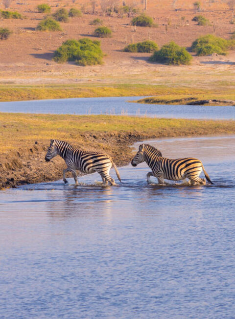 Safari privé au Botswana et Chutes Victoria