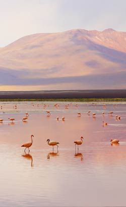 Zones naturelles en Bolivie