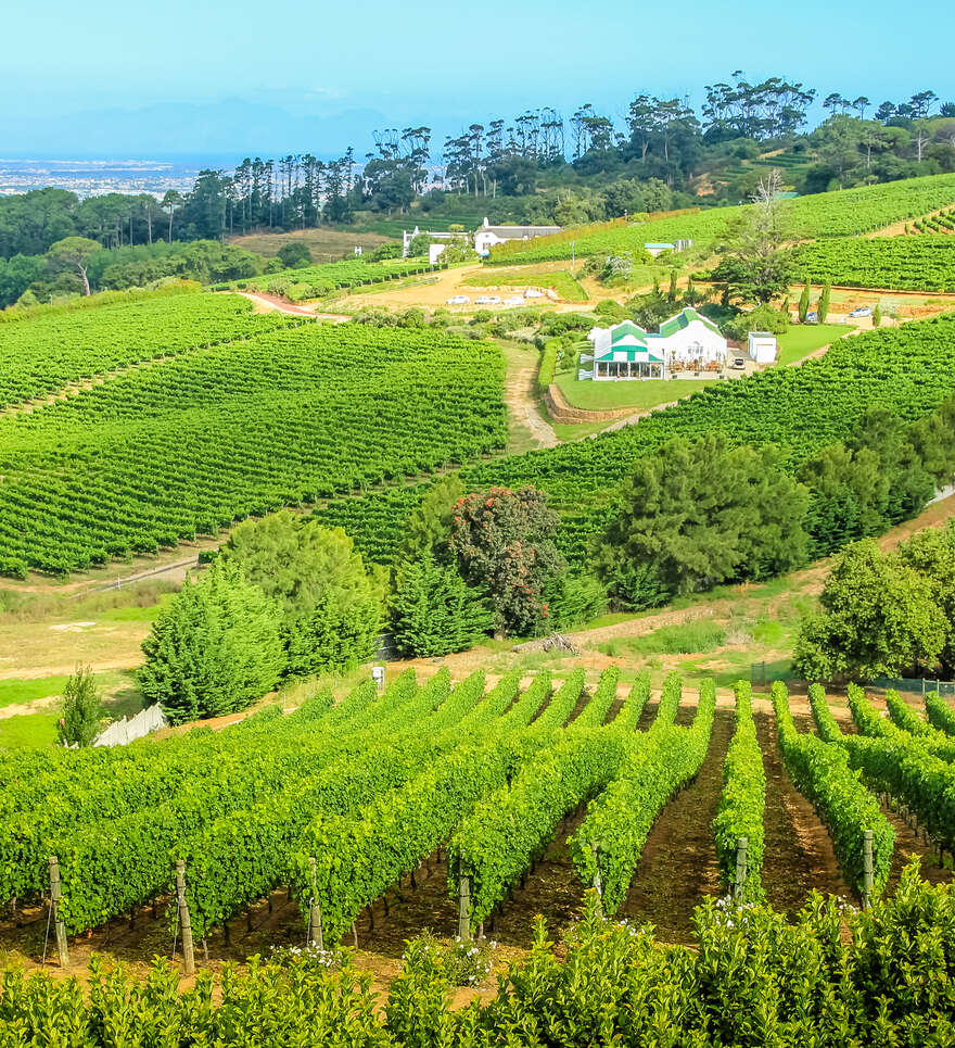 Découvrez la Péninsule du Cap et la Route des Vins en Afrique du Sud