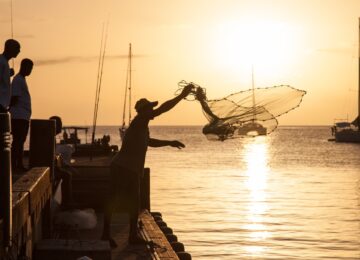 Immersion authentique en Guadeloupe