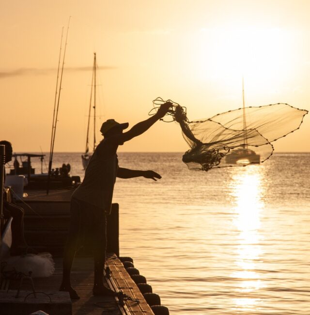 Voyage immersif et authentique en Guadeloupe
