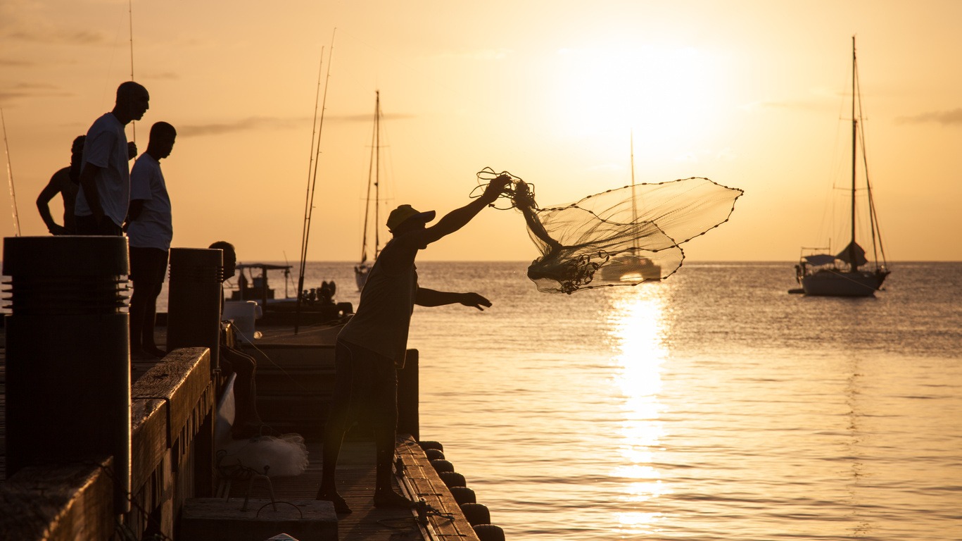 Immersion authentique en Guadeloupe