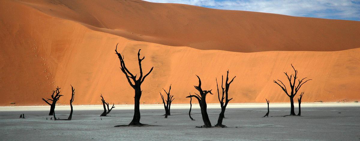 Trio australe : Namibie, Botswana et Chutes Victoria