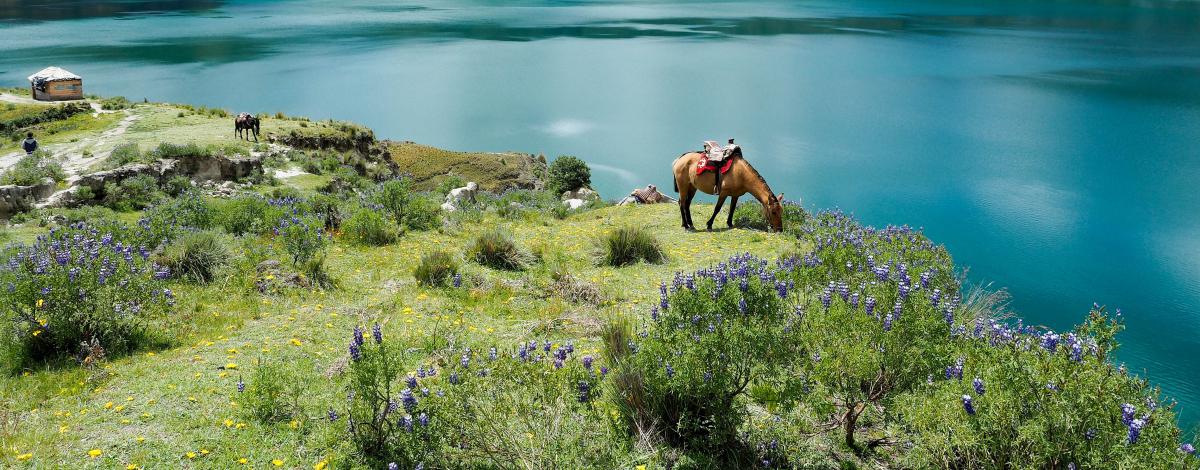Bol d’air en Equateur : des Andes à l’Amazonie