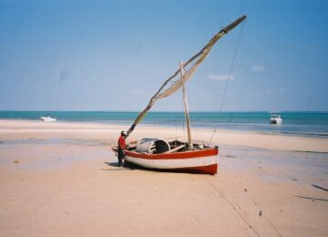 Safaris au Parc Kruger et plage au Mozambique