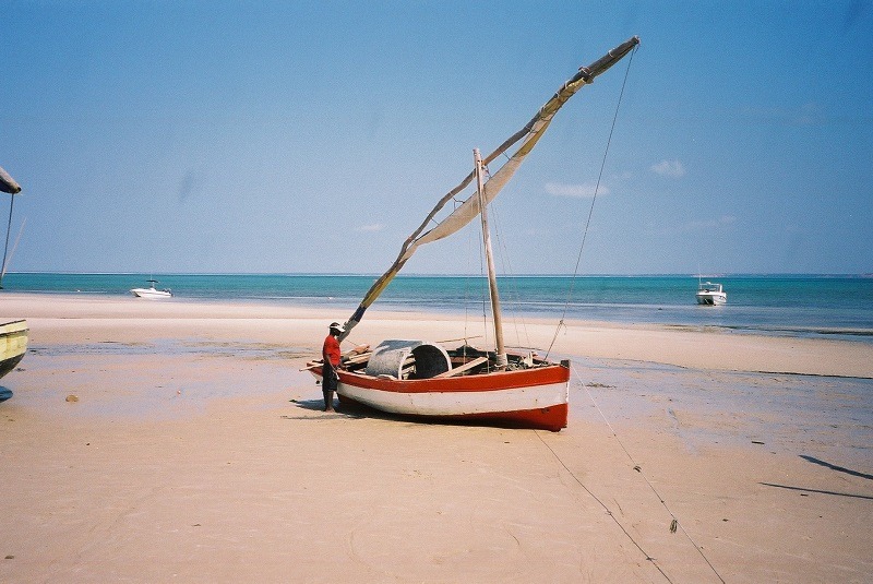 Safaris au  Parc Kruger et plage au Mozambique