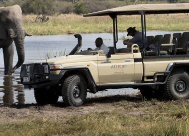 Safari en petit groupe au Botswana en camping version luxe