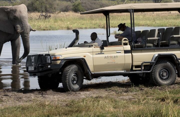 Safari en petit groupe au Botswana en camping version luxe