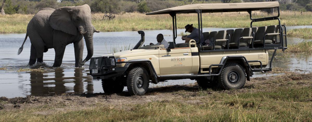 Safari en petit groupe au Botswana en camping version luxe