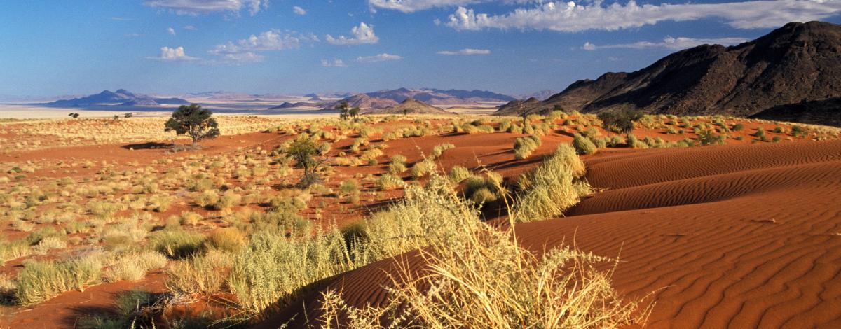 Trilogie Australe : Namibie, Botswana et Chutes Victoria
