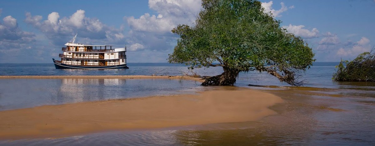 Immersion en Amazonie : croisière de charme à bord de l’Amazon Dream