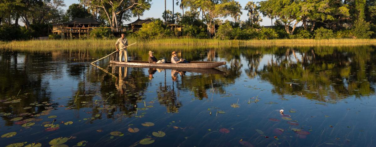 Safari au Botswana et Chutes Victoria : Chobe, Moremi et Delta de L’Okavango