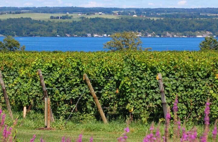 Autotour New York – Chutes du Niagara : Découverte de l’Etat de New York