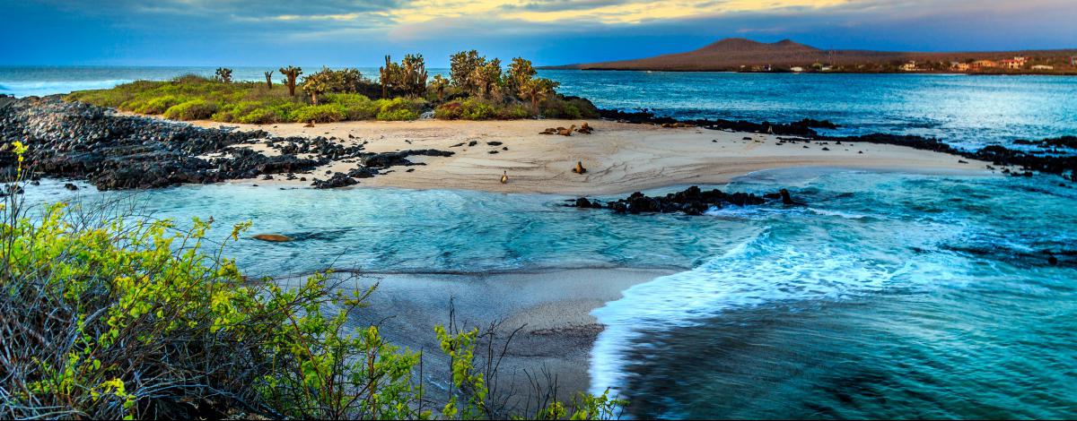 Les charmes de l’Equateur et croisière aux Galapagos