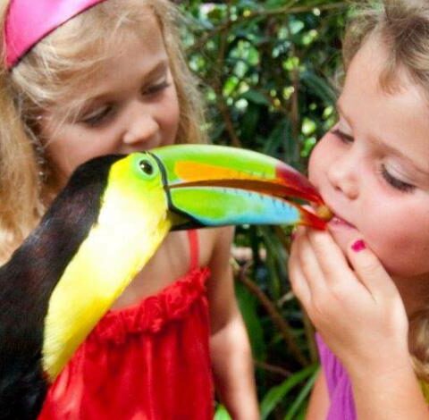 Le Costa Rica avec vos enfants, accompagné par guide francophone