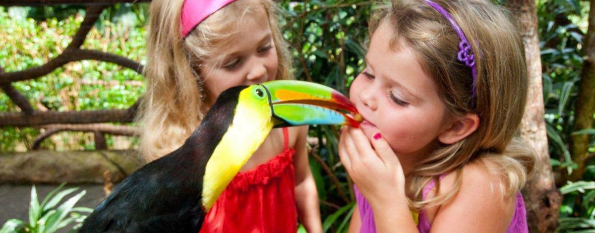 Le Costa Rica avec vos enfants, accompagné par guide francophone