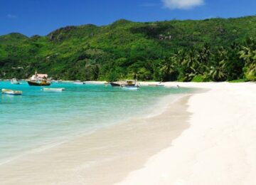 Savane et sable blanc : voyage en Afrique du Sud et aux Seychelles