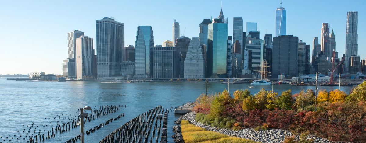 Séjour découverte de New York – visites incluses