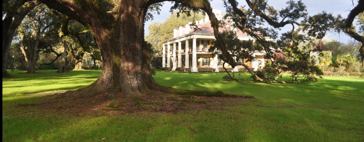 Voyage avec guide francophone en Louisiane