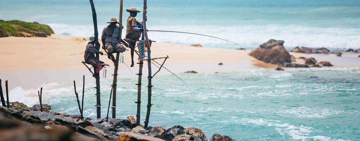 Les incontournables et farniente au Sri Lanka : immersion au coeur du Triangle Culturel et plage paradisiaque