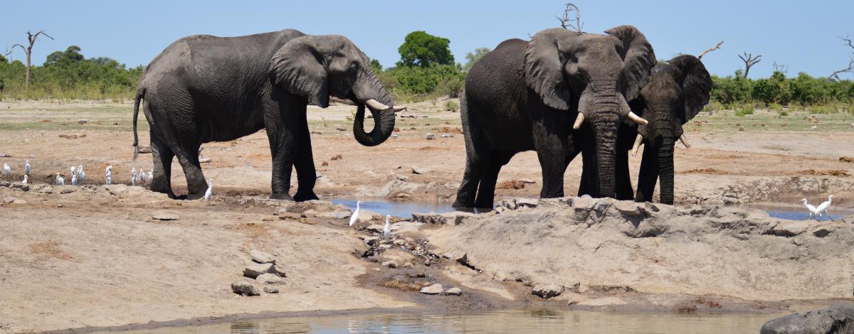 Circuit privé en Afrique du Sud – Le Cap et le Parc Kruger en hébergements haut de gamme