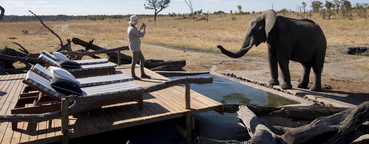 Voyage au Zimbabwe: Chutes Victoria & Safaris à Hwange et Mana Pools
