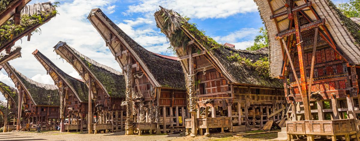 Iles Célèbes – Découverte de Sulawesi : du pays Toraja aux plages du Nord