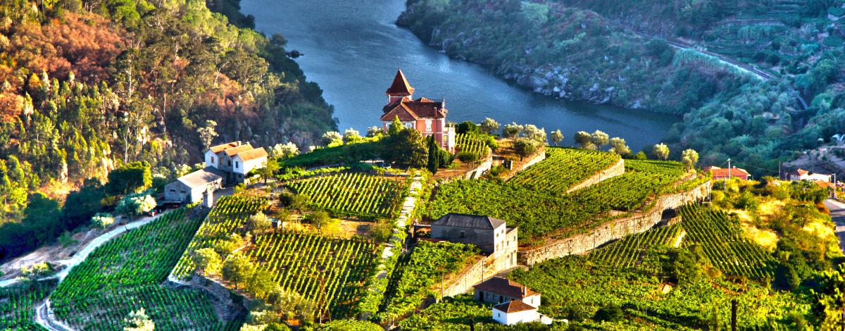 La route des vins et la Vallée du Douro