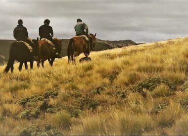 Argentine authentique : estancias et gauchos
