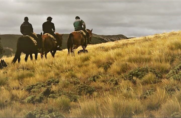 Argentine authentique : estancias et gauchos