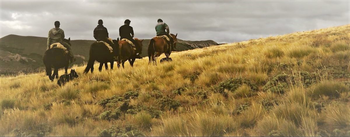 Argentine authentique : estancias et gauchos