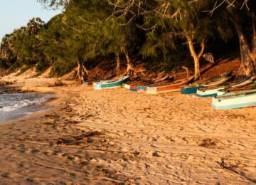 Voyage en Namibie et au Mozambique: safaris, déserts et plages de l’Océan Indien