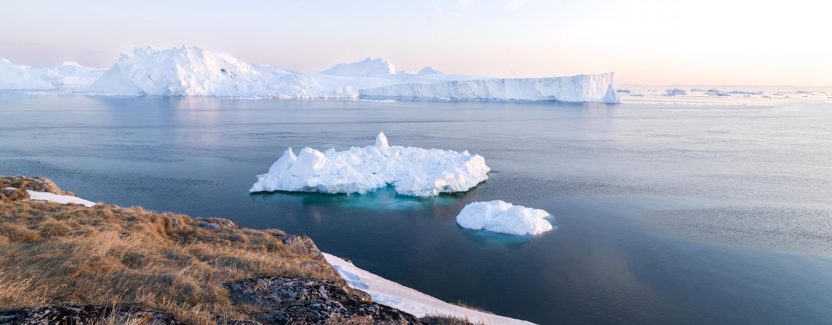 Randonnée et croisière au milieu des icebergs