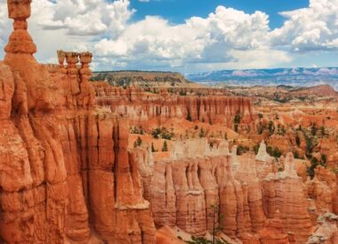 Voyage organisé Côte Ouest et Parcs Nationaux : Le Rêve américain