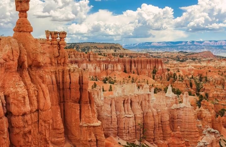 Voyage organisé Côte Ouest et Parcs Nationaux : Le Rêve américain