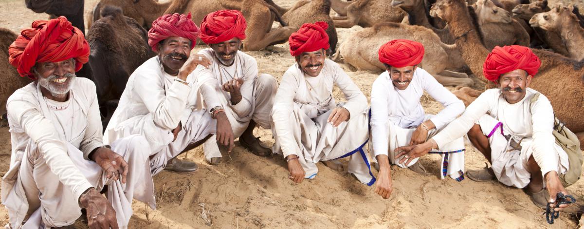 Circuit exclusif en petit groupe : couleurs du Rajasthan pendant la foire de Pushkar
