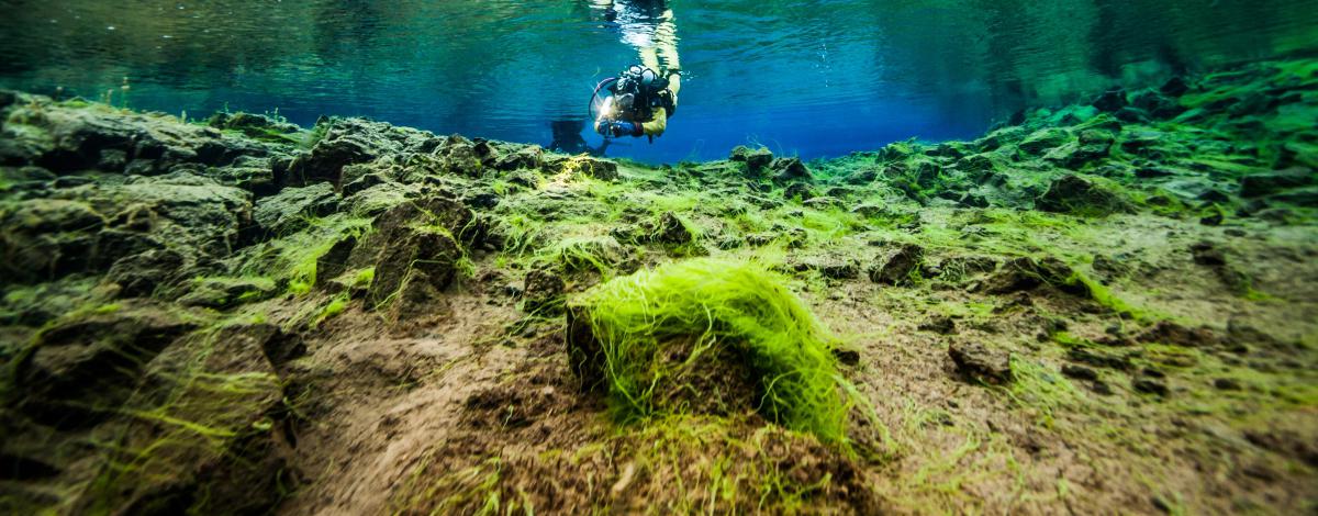 Séjour aventure, l’Islande nature
