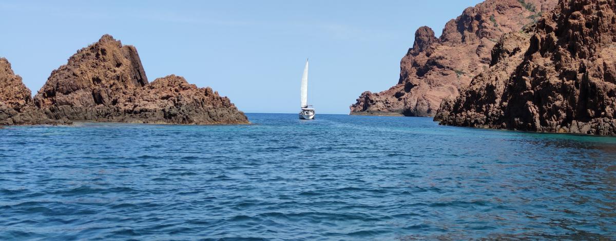 Le Golfe de Porto et Calvi en catamaran
