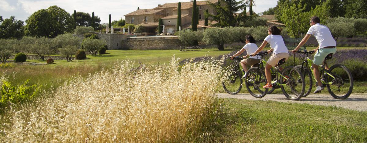 Route du vélo en Provence